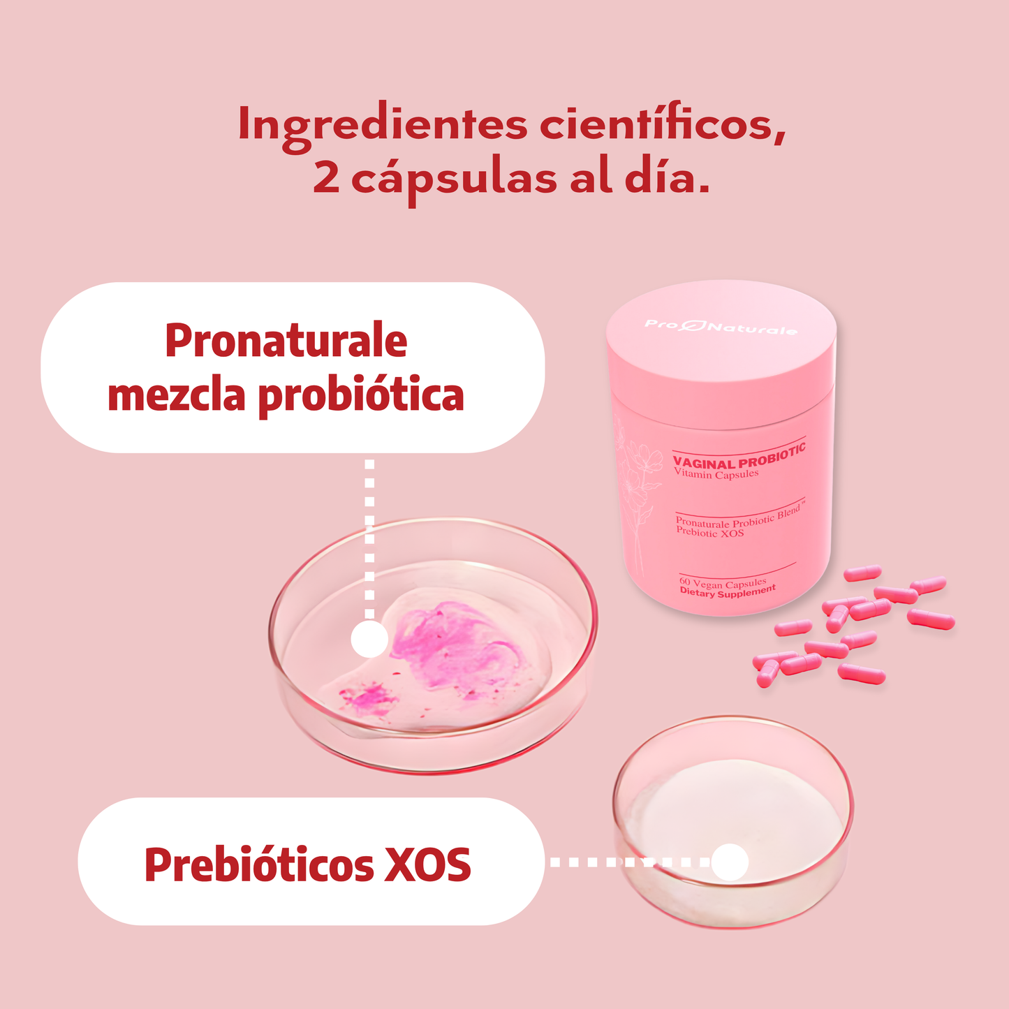 AmaliaRivera® Probiótico Vaginal