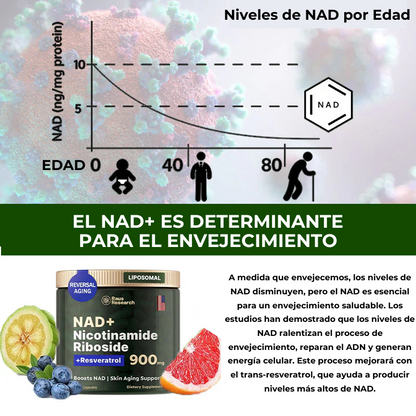 AmaliaRivera® NAD+ Premium para Energía Celular y Juventud